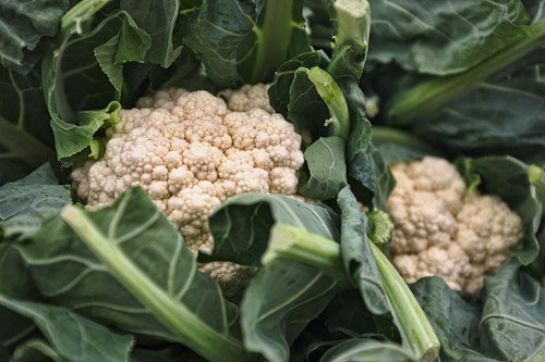 Cauliflower (Phool Gobhi)