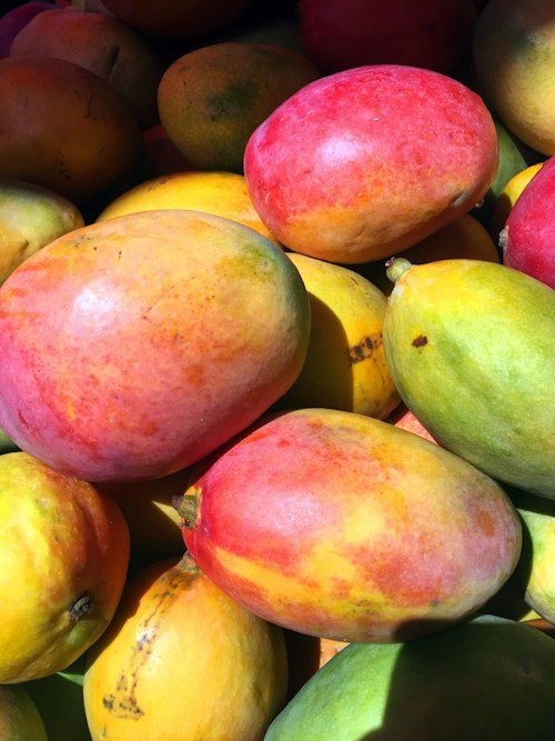 Dasheri Mango (Dasheri Aam)