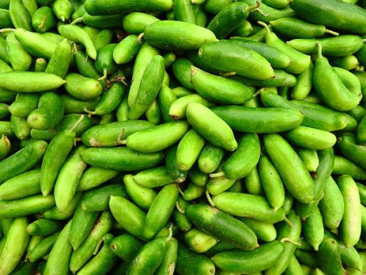 Ivy Gourd (Kundru)